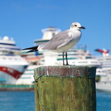 Darf&acute;s ein bisschen Meer sein?